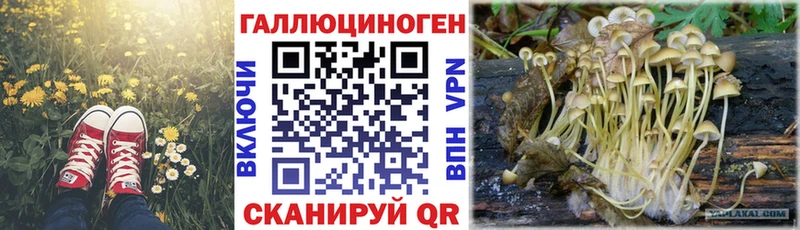 Псилоцибиновые грибы мухоморы  Кингисепп 